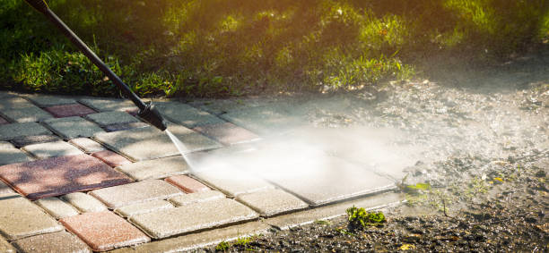 Best Driveway Pressure Washing  in Auberry, CA